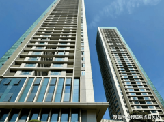  项目出缺点有哪些否有团购？找开辟商买 